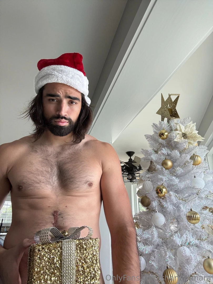 I ll have you saying ho ho ho all night long 