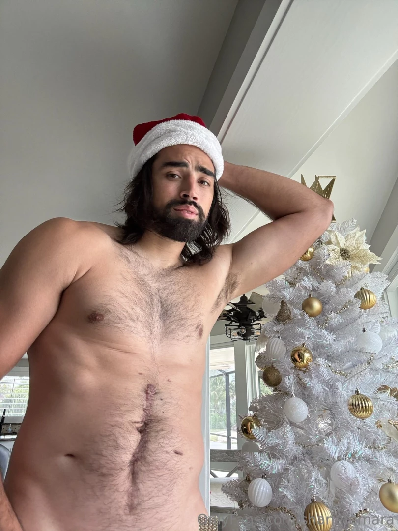 I m like a tree topper an angel on top and so much fun underneath 