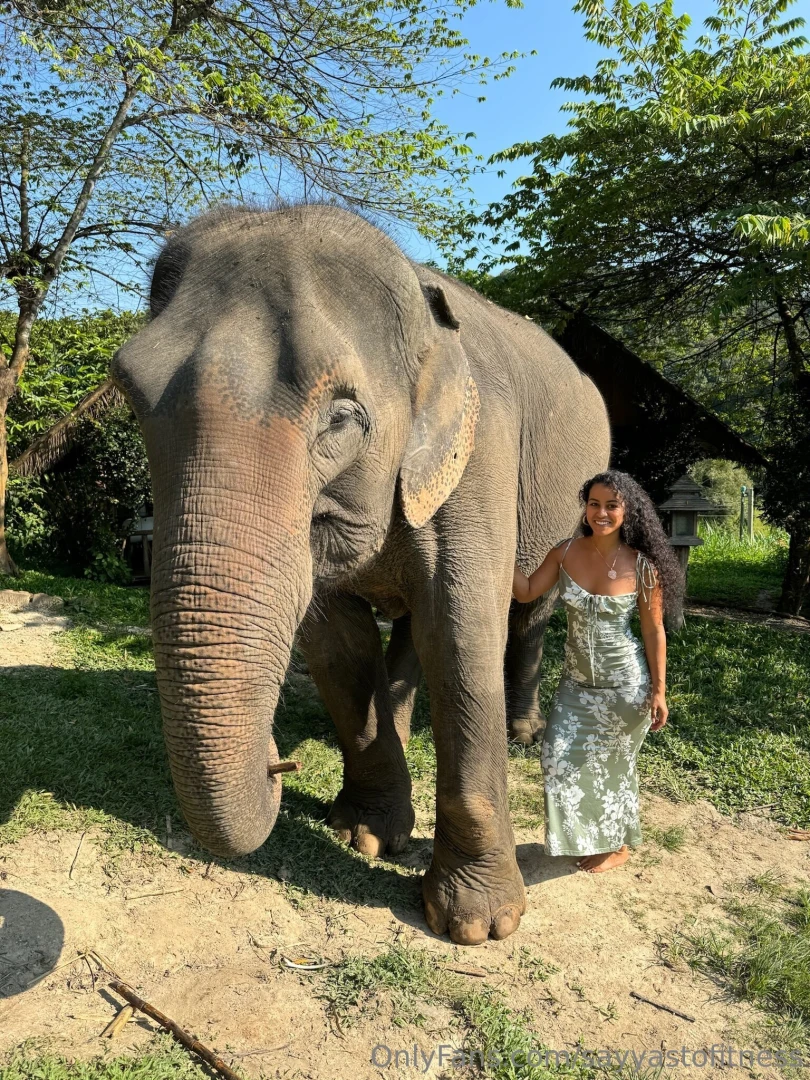 Thailand vibes part 4 