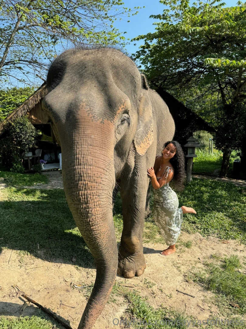 Thailand vibes 