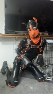 Rubber puppy part 3