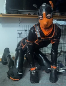 Rubber puppy part 2