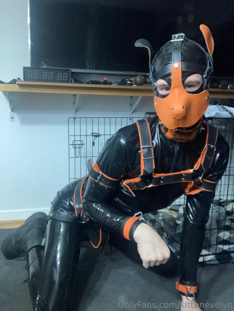 Rubber puppy part 1 