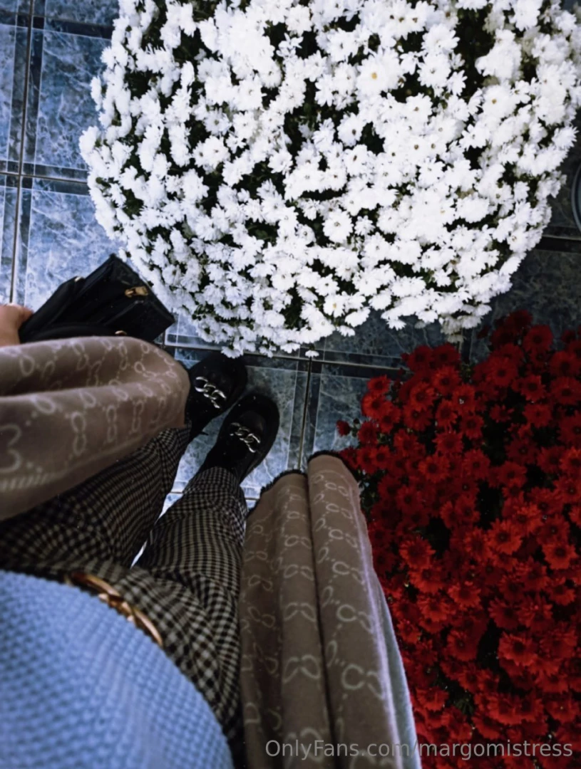 Let these beautiful flowers make your day better 