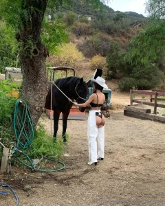 Nbsp i d rather ride your cock than this horse tbh