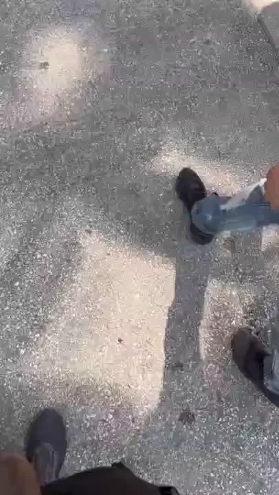 Walking with bro leoflowerz 