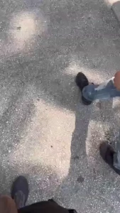 Walking with bro leoflowerz