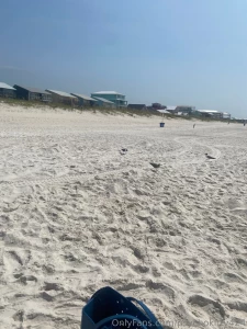 Spotted some wingul
