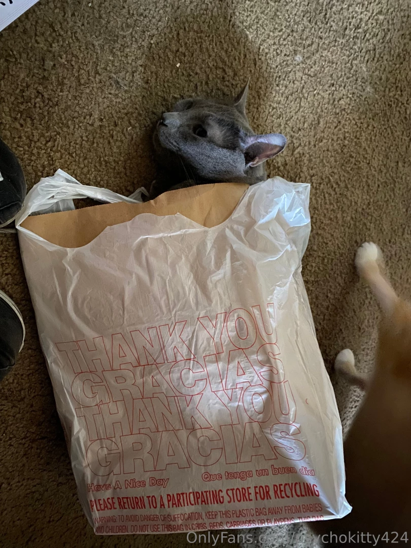 If you ever wanted to know my personality in one conversation lolol part 2 