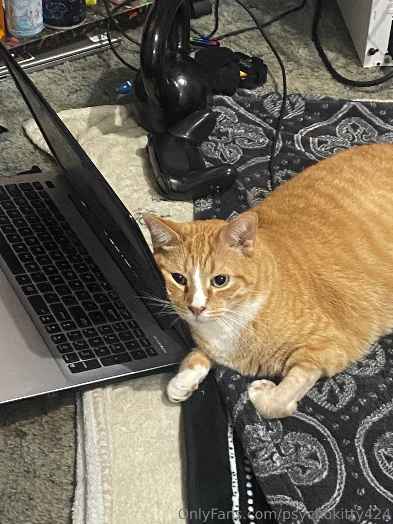 If you ever wanted to know my personality in one conversation lolol part 1 