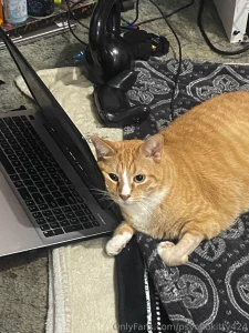 If you ever wanted to know my personality in one conversation lolol part 1