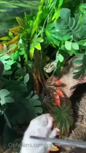 Some real cool feedingstuff part 3