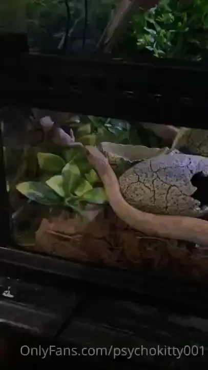 Some real cool feedingstuff part 2 