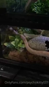 Some real cool feedingstuff part 2