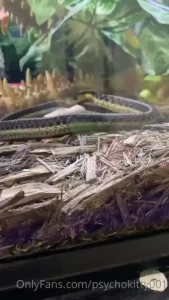Some real cool feedingstuff