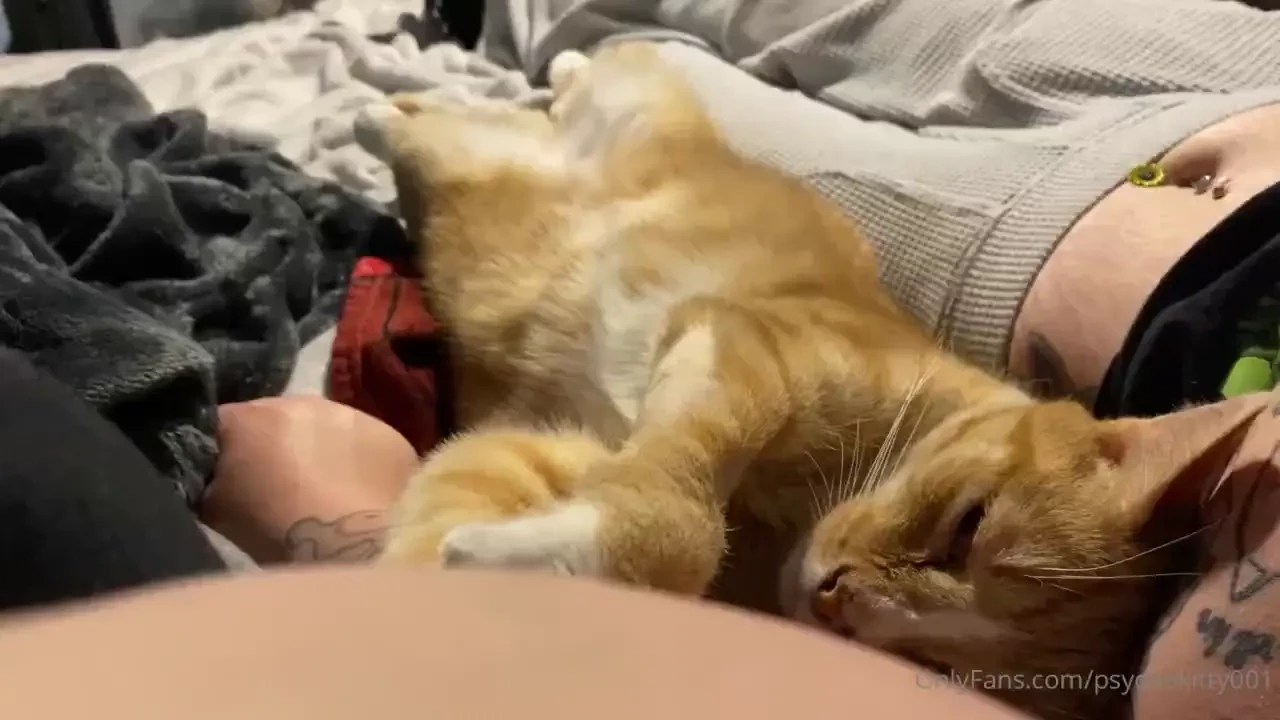 My kitties are so cute n sweet 