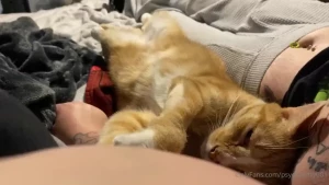 My kitties are so cute n sweet