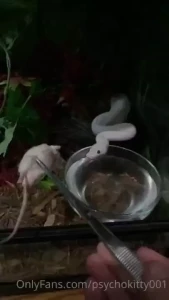 I am the jungle gym lol snek-cercise