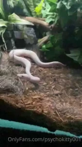 Silly me i posted his butt and forgot to introduce him this is my new