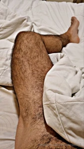 Free lobito2026 nbsp look at this little furry wolf he is here to