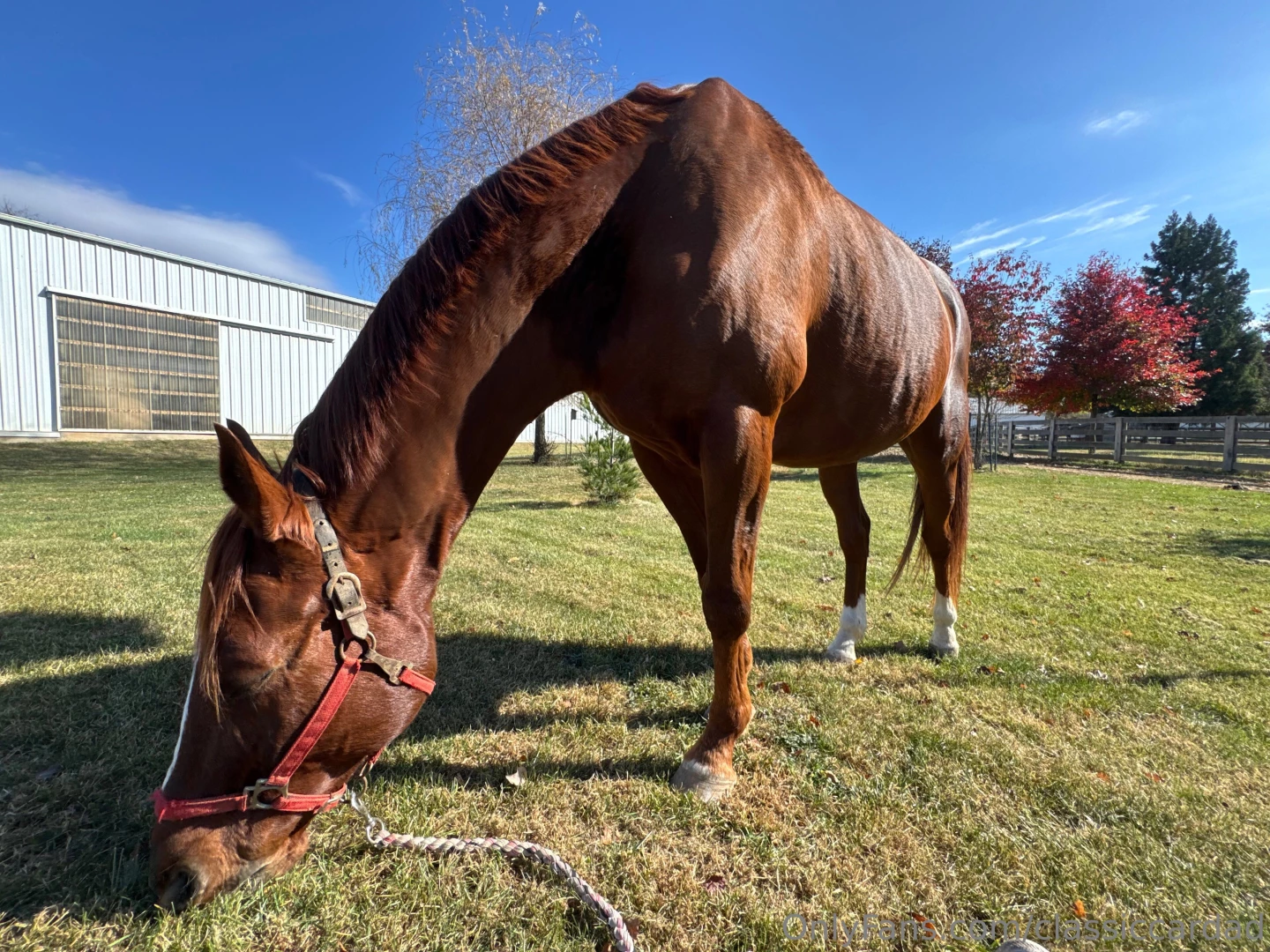 Spent 2hrs w sour cream working on trust 