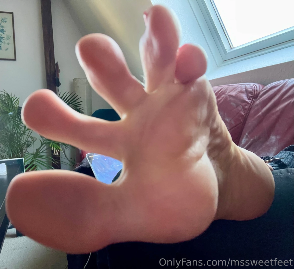 Heyo greetings from the couch 