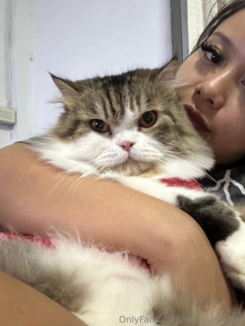 Purr-fect vibes who s joining us for some cuddles 