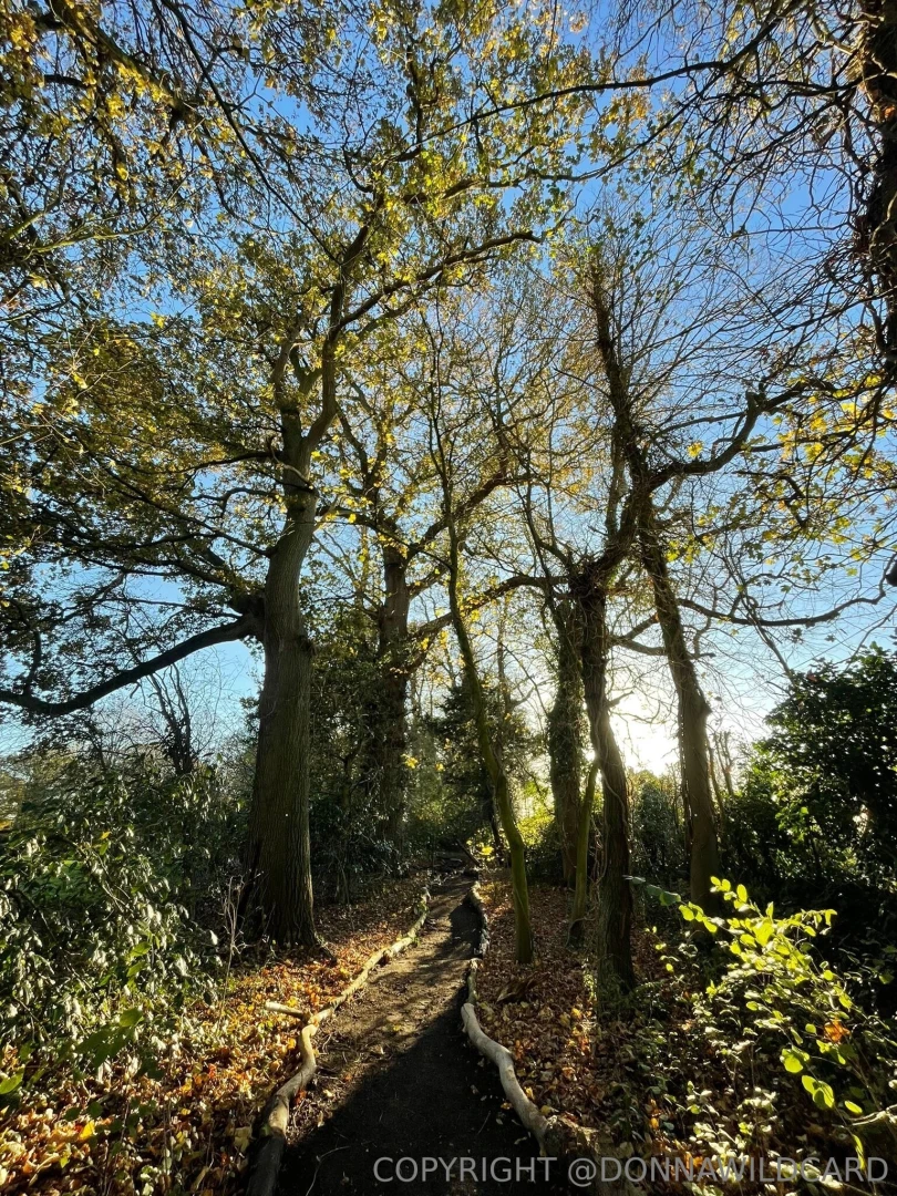 Beautiful path i made xx 