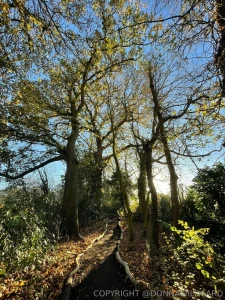 Beautiful path i made xx