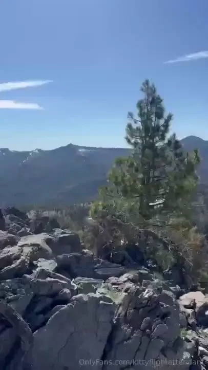 When life throws you a snowball lick it 