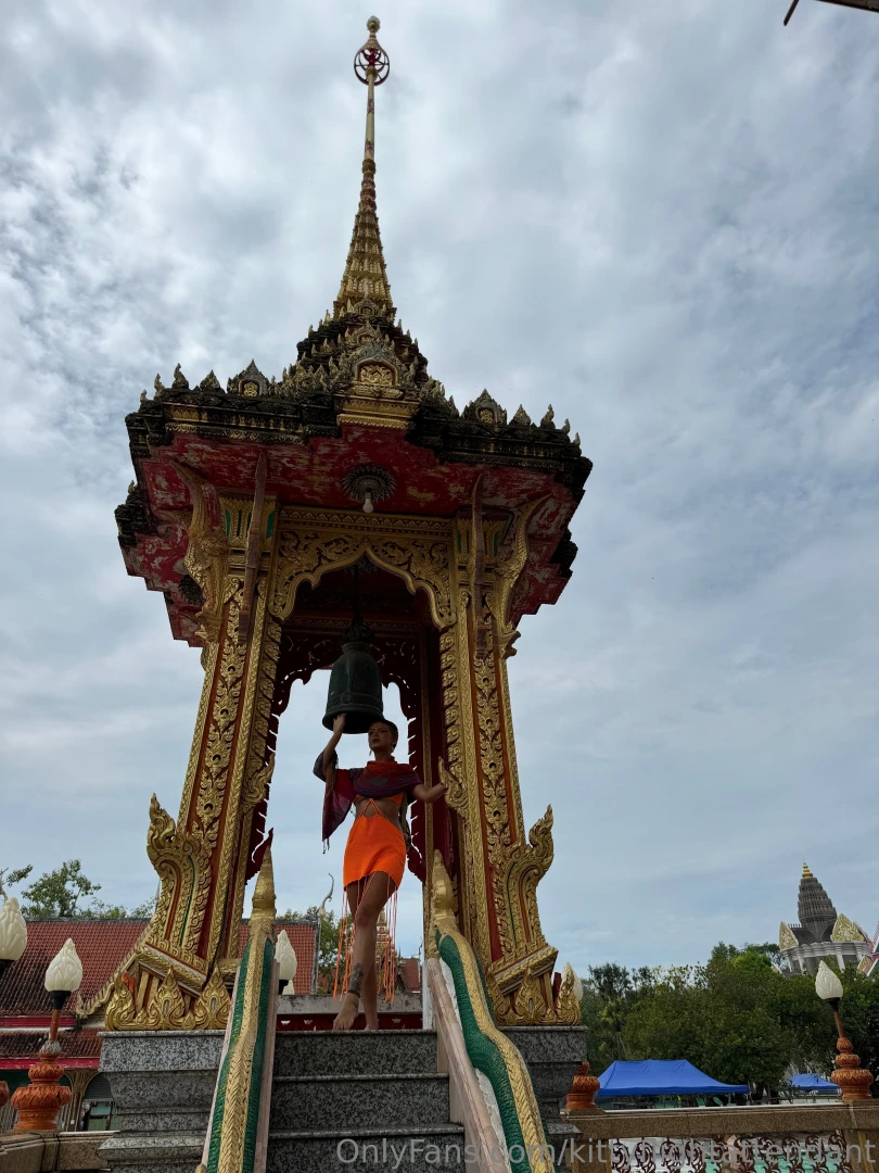 Move through life from the heart amp watch everything blossom 