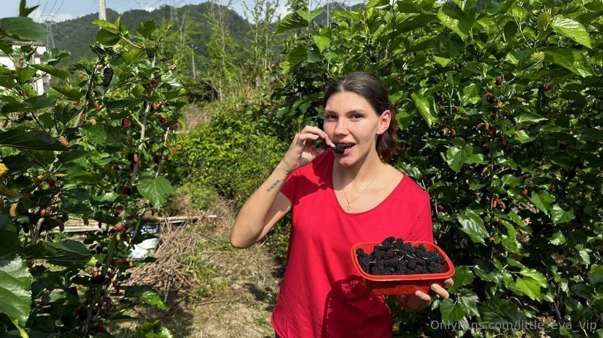 How are you preparing for summer how are you going on vacation part 1 