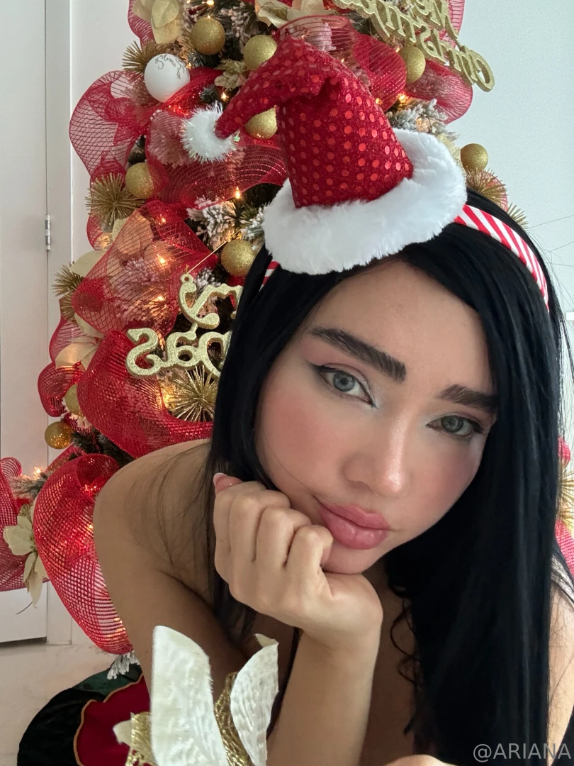 Merry christmas part 2053 