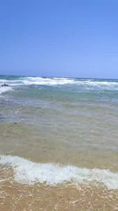 I love brazilian beaches