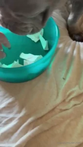 Tyler is the winner https onlyfans com 1302349144 mandymusemedia