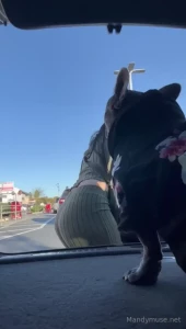 Dreams fulfilled i m a doggy milf frrrrr now also u like my ass in