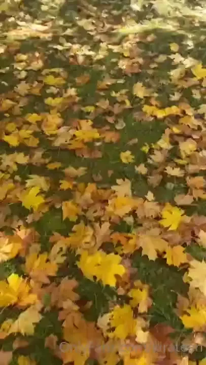 My autumn 