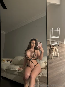 Truth about cats and dogs