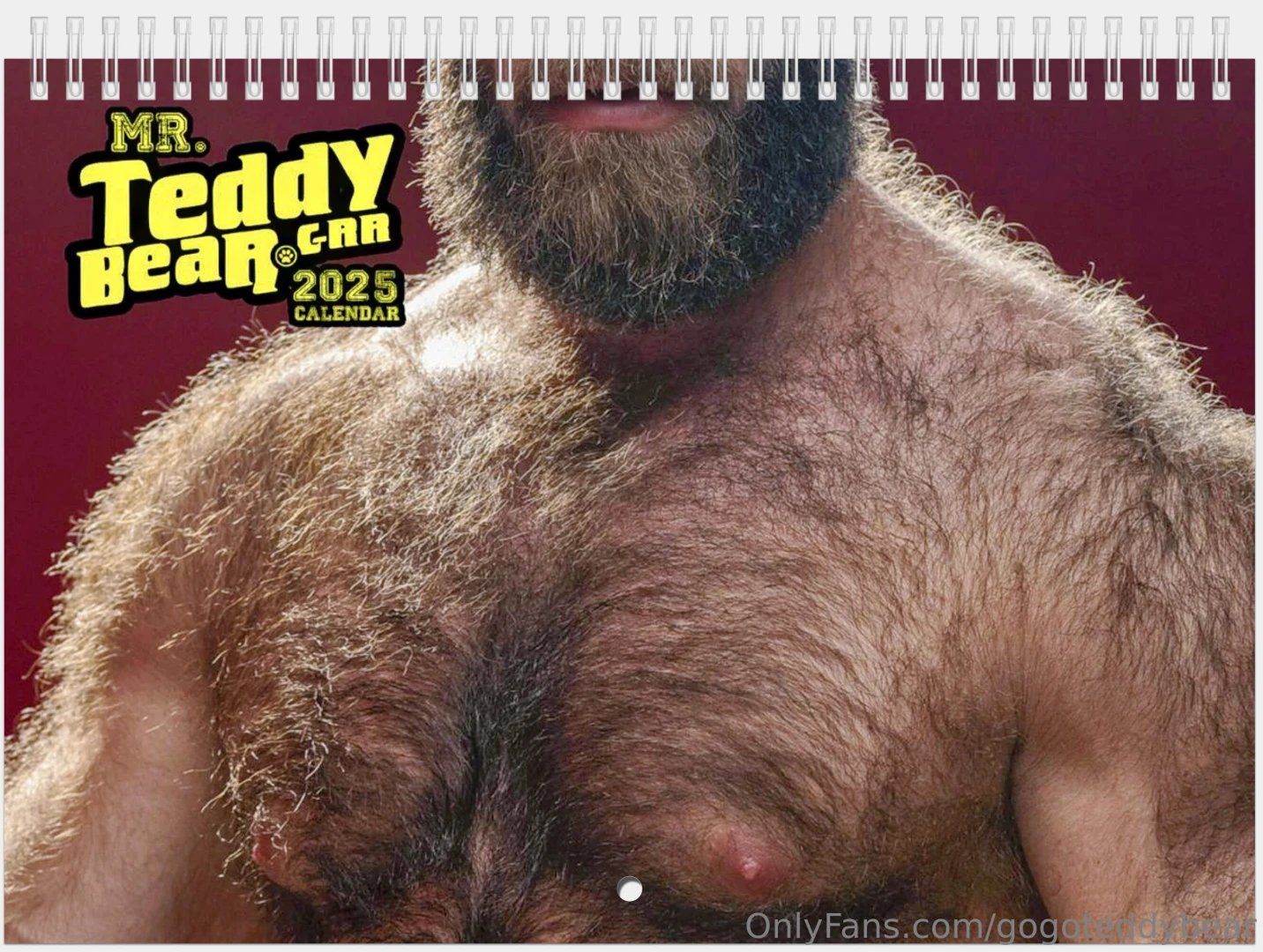 Pre-order now my 2025 wall calendars i ship them december 12th and i 