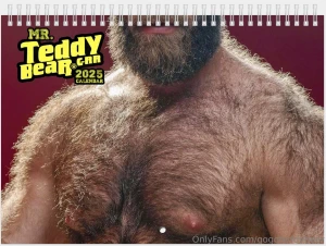 Pre-order now my 2025 wall calendars i ship them december 12th and i