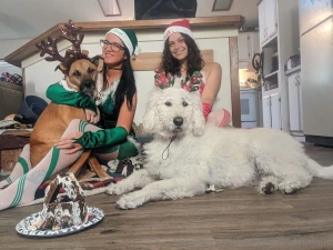 Happy holidays from me and doitwithdaisy and go wish her a happy happy