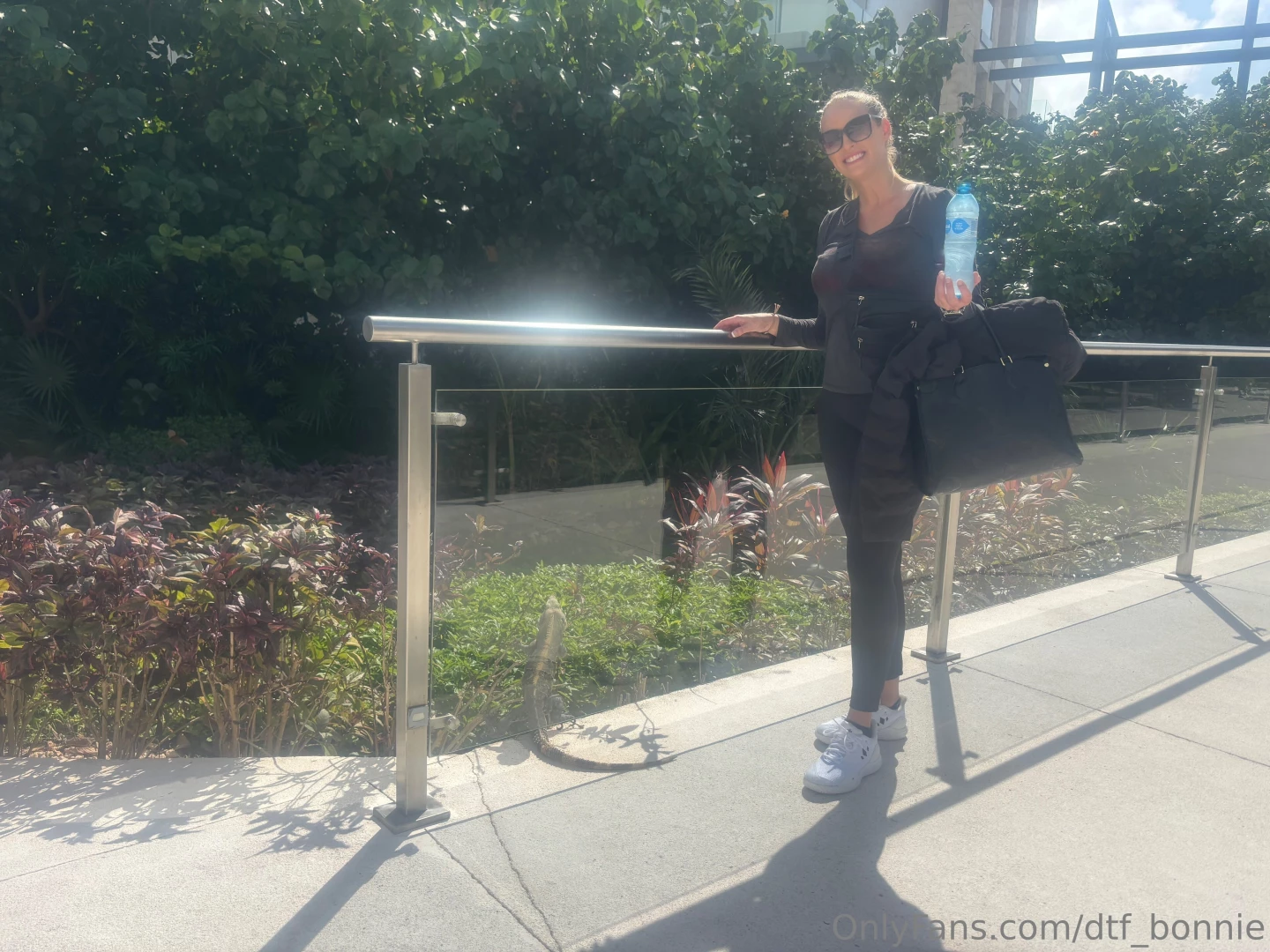 Packing up and saying bye to the iguanas 