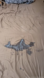 Would you let me make a mess on your bed or pass