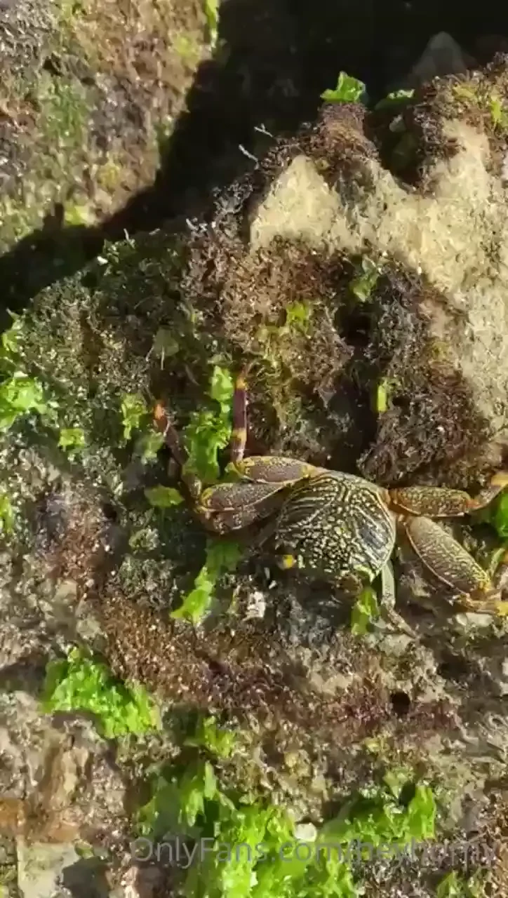 Guys here is very bad internet i post all possible thanks for 