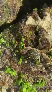 Guys here is very bad internet i post all possible thanks for