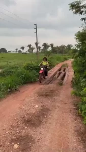 Polyanaviana part 8