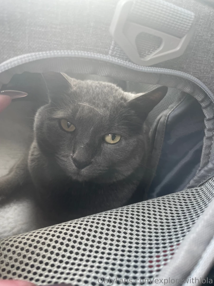 Please send well wishes to me and dexter i just had a tonsillectomy 