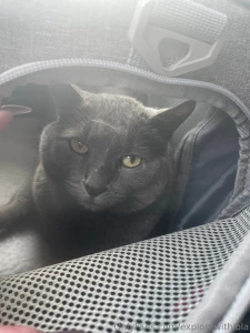 Please send well wishes to me and dexter i just had a tonsillectomy