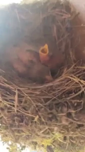 These are the non-nude photos i took when i was on my cabin getaway in