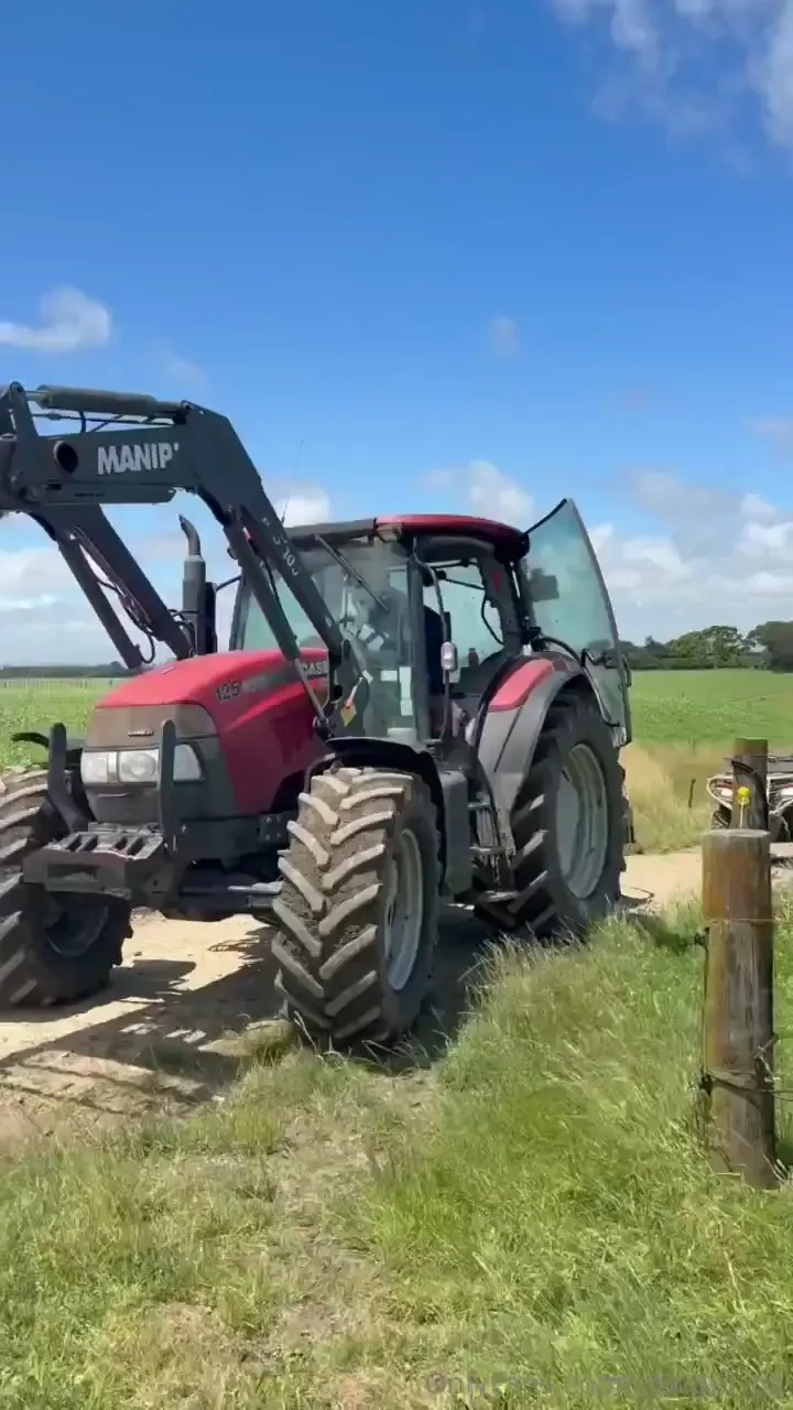 Farm antics 